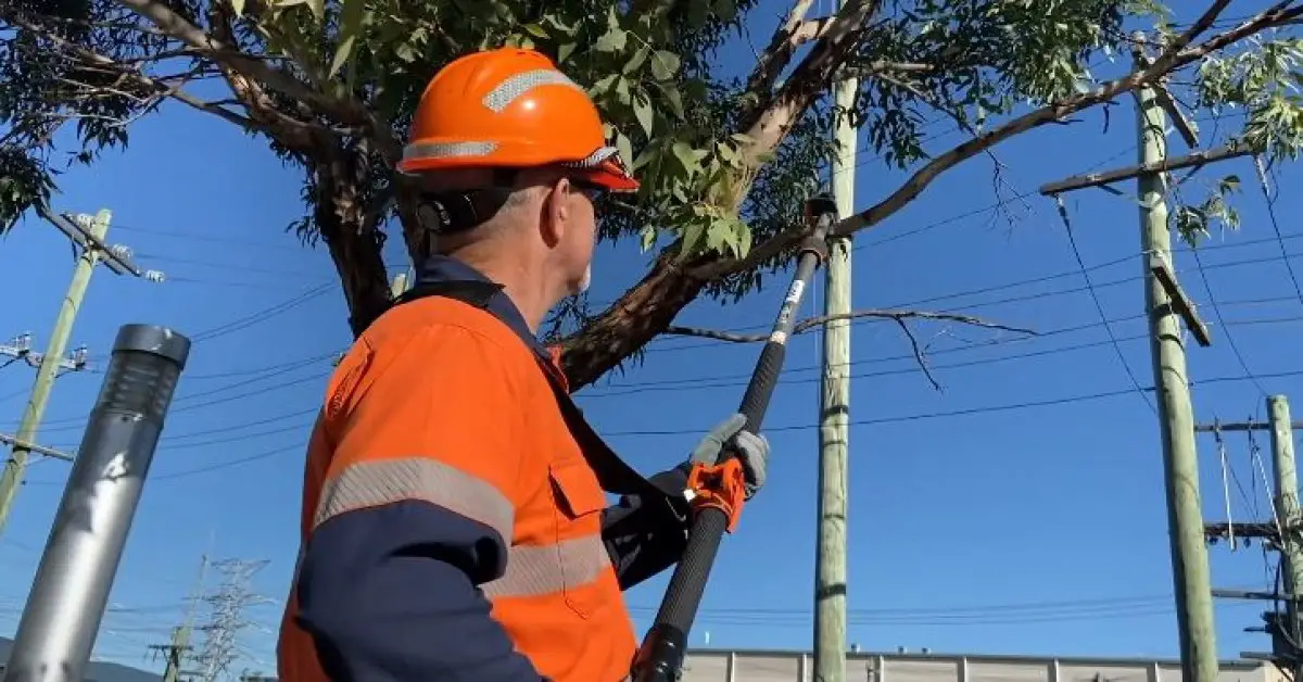 Are Pole Saws Dangerous? (Risks and Safety Tips)