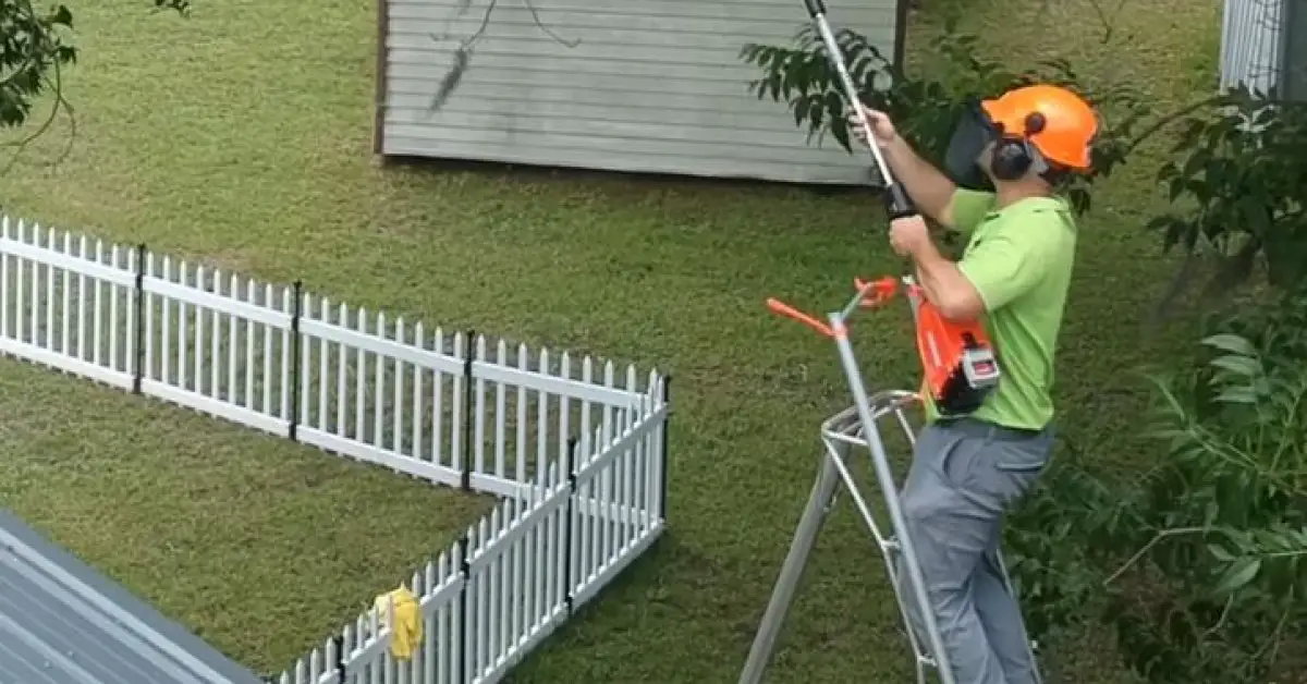 How to Use a Pole Saw on a Ladder (Safety Tips and Techniques)