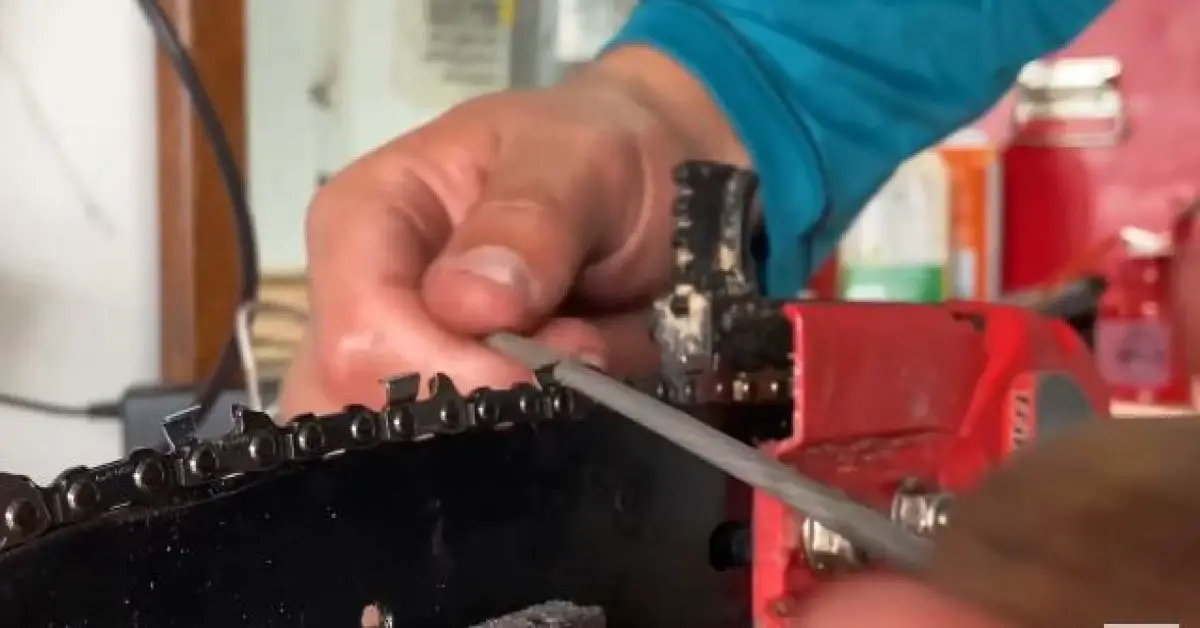 How to Sharpen a Pole Saw Blade (StepbyStep)