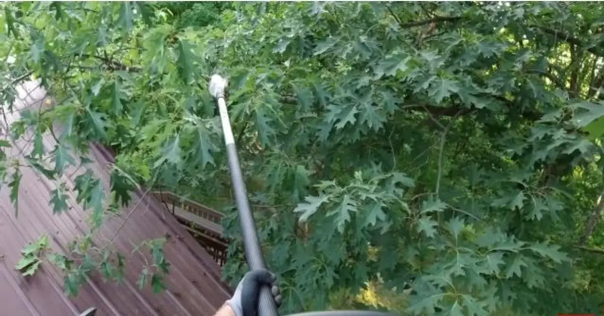 How much Does it Cost to Rent a Pole Saw? (Exploring Costs and Options)