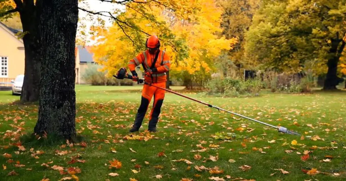 What Can I Cut with a Pole Saw?