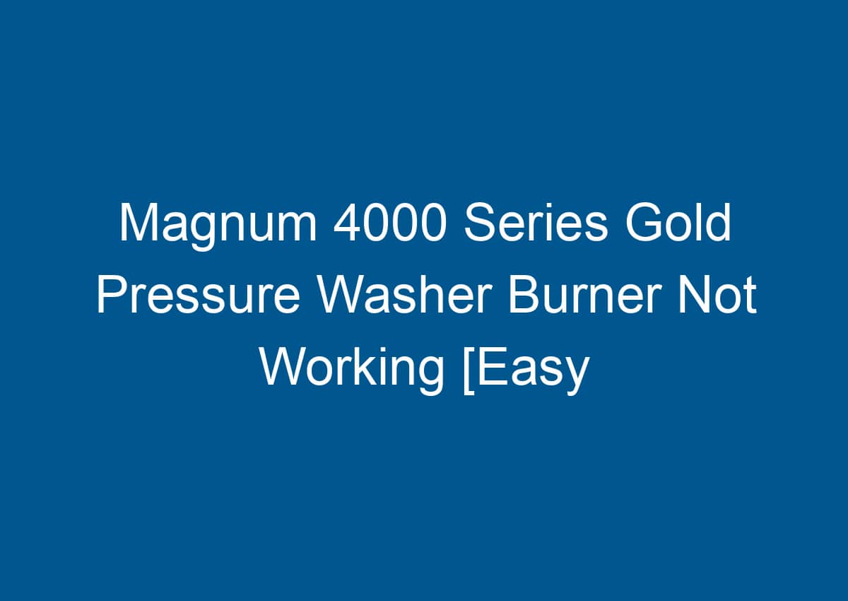 Magnum 4000 Series Gold Pressure Washer Burner Not Working [Easy