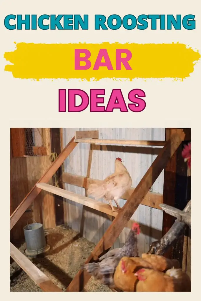 All About Roost Bars For Chickens